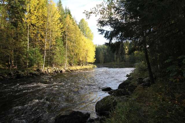 Дома для отпуска Keskikosken Lomamökit Venäjänjärvi-23